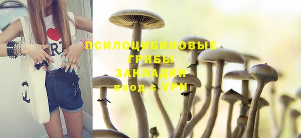 твердый Кукмор
