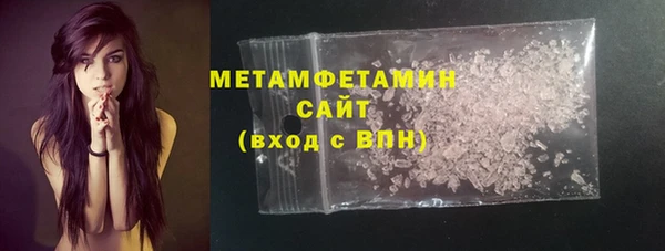 индика Ивангород