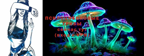 ГАЛЛЮЦИНОГЕННЫЕ ГРИБЫ Куйбышев