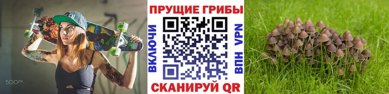Псилоцибиновые грибы Magic Shrooms  Магас 
